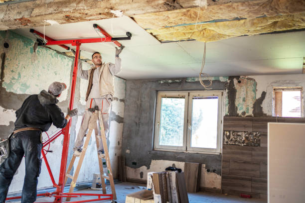 Best Geographic-Specific Insulation Services in Maywood, NJ