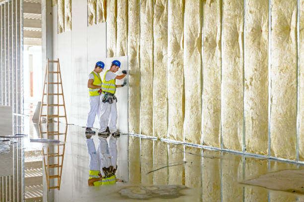 Best Insulation Maintenance and Repair in Maywood, NJ